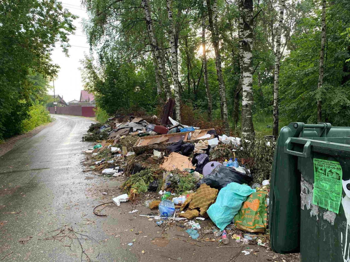 Большой пост про мусор, которая написала москвичка, бывающая на Бору