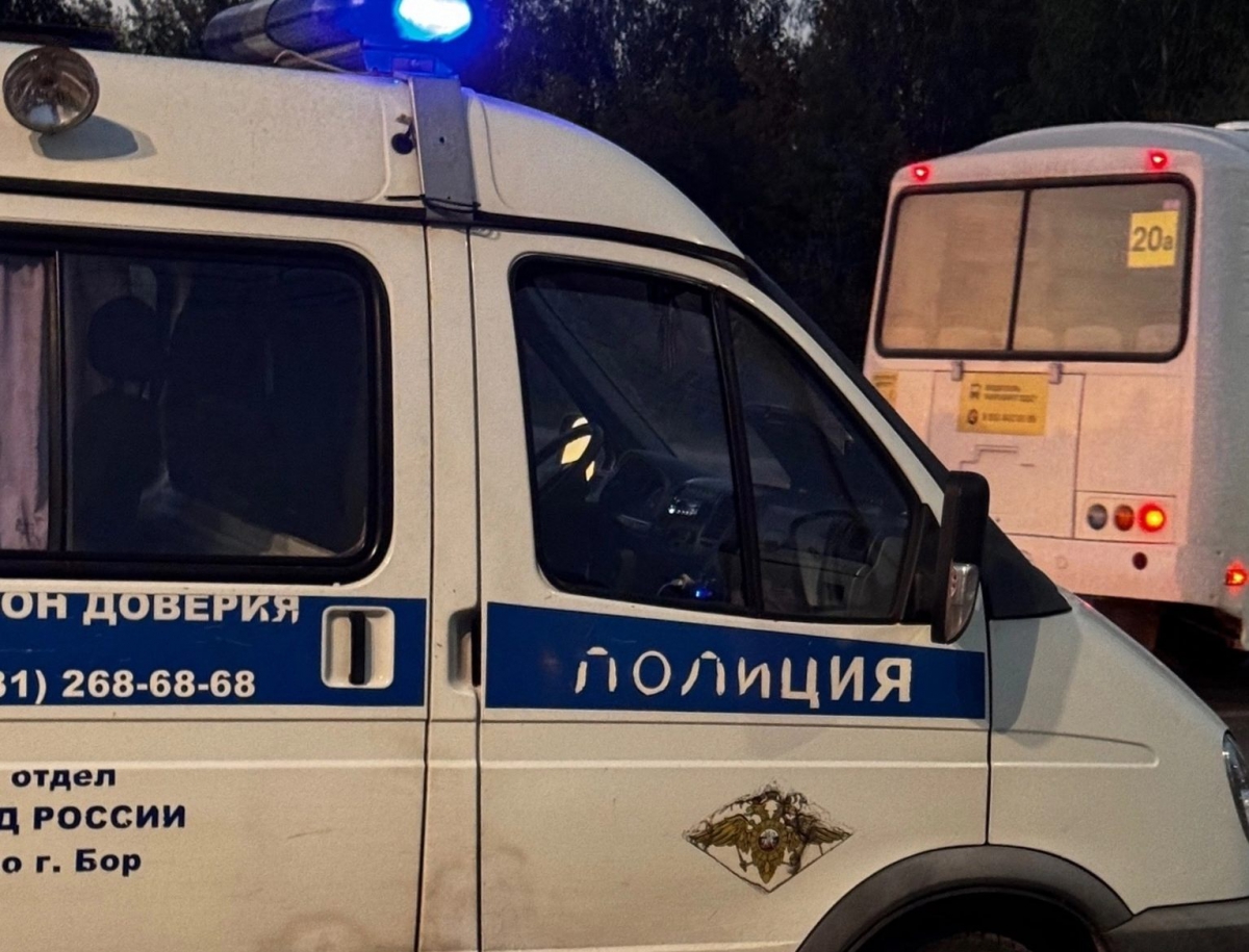 Как накажут за самопроизвольный наезд авто на пешехода?