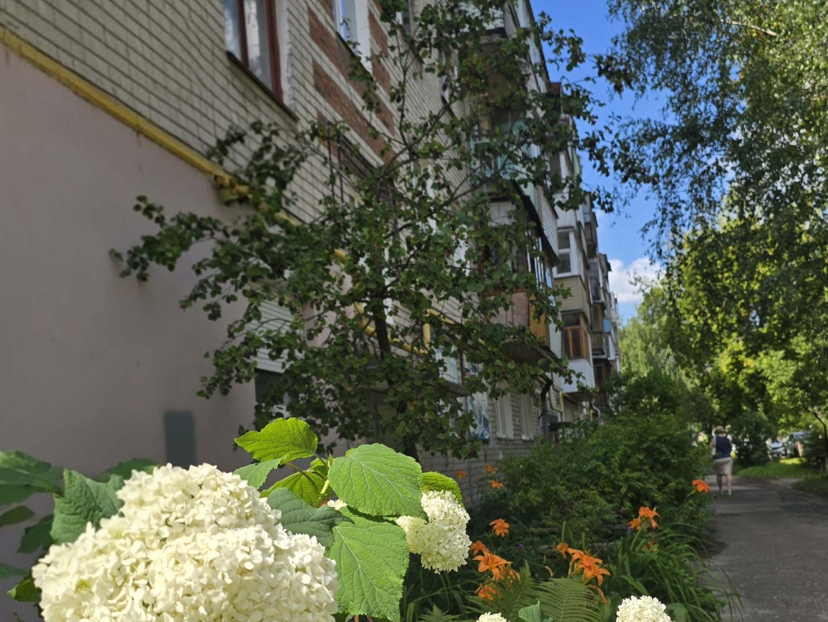 Где отключат горячую воду?