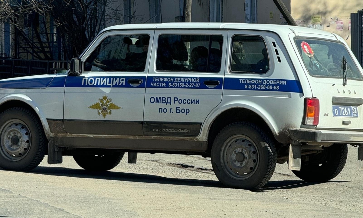 Борчанин поднял руку на мать и теперь будет осужден