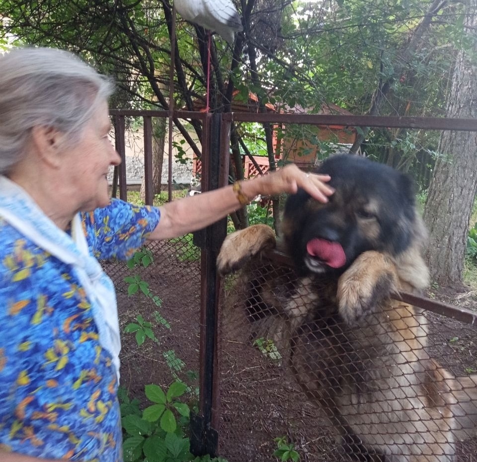 Бабушка, Нури и сила сердца