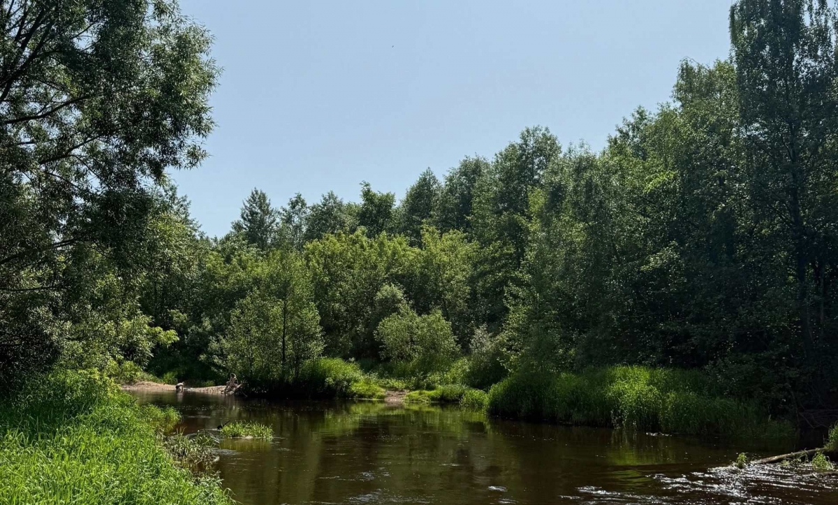 Борчан зовут на субботник