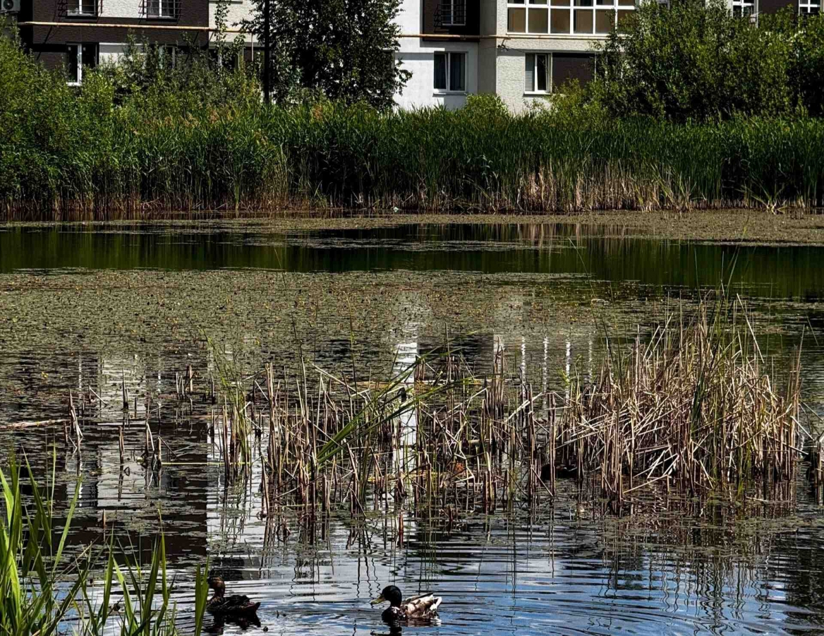 На Бору по графику продолжают отключать горячее водоснабжения