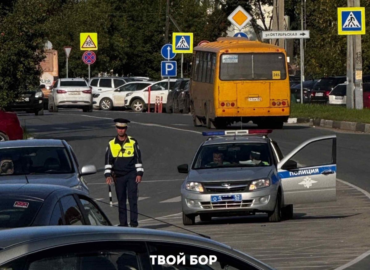 На Бору ловили нарушителей