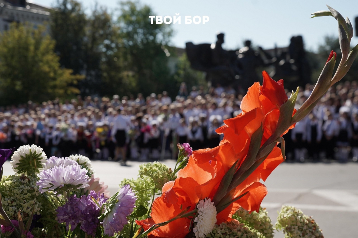 На Бору ограничат продажу алкоголя