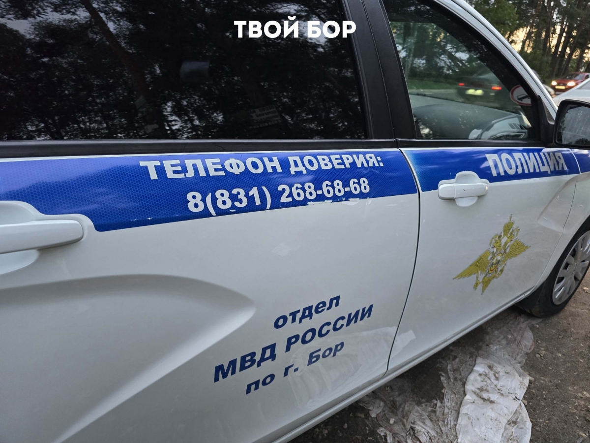 Борский отдел ГАИ проводит на дорогах оперативно-профилактического мероприятия "Детское кресло".