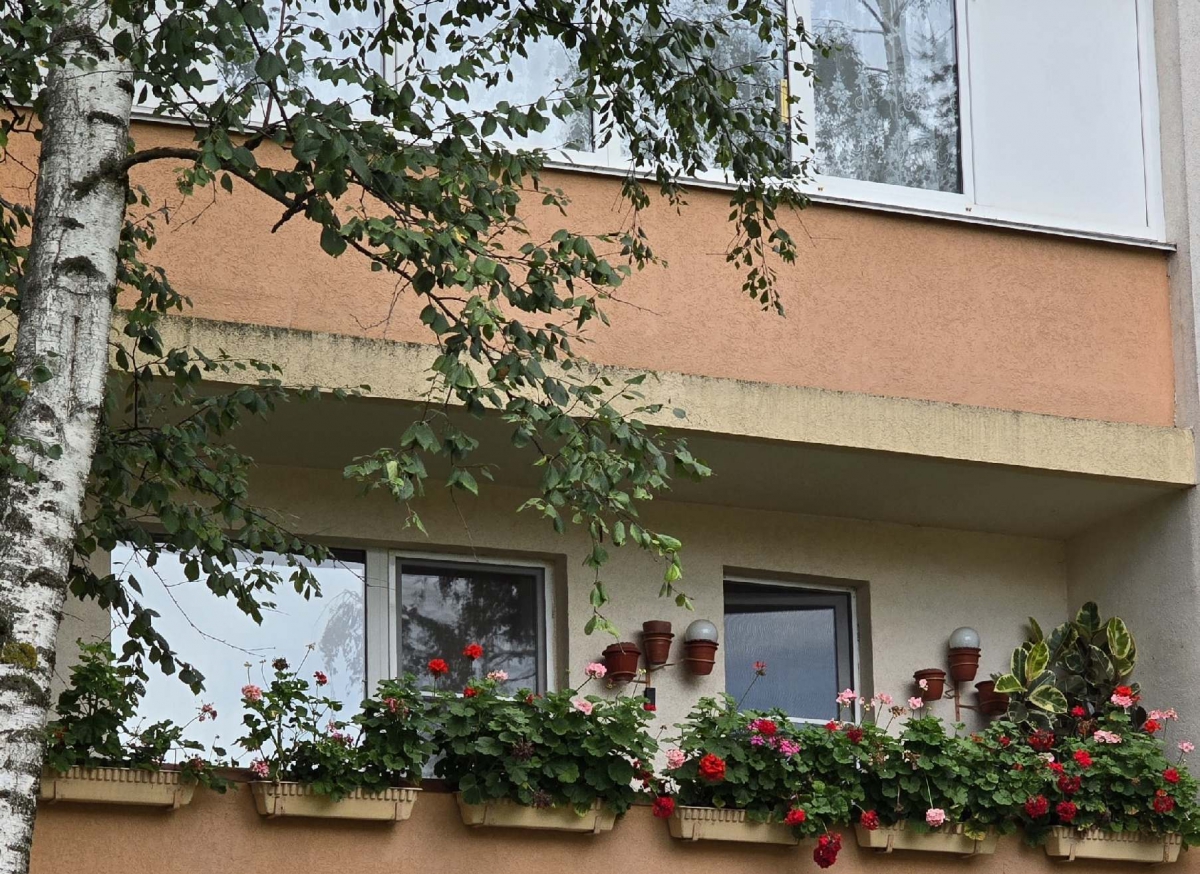 Бор создал прецедент