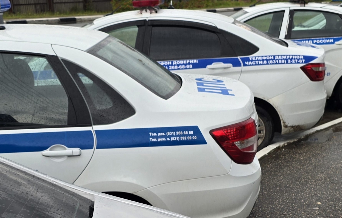 Обращение ко всем взрослым от Борского отдела ГАИ: