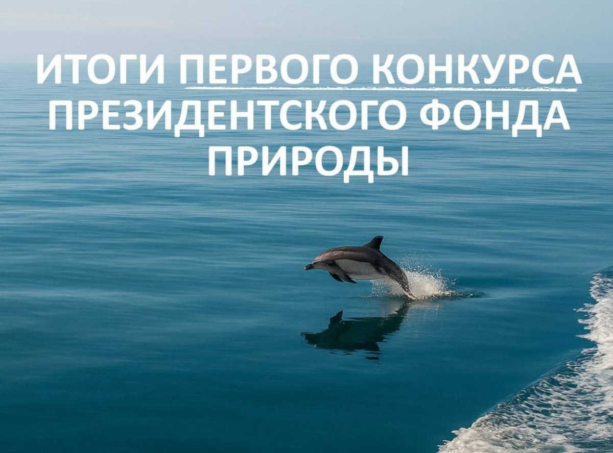 Пост гордости