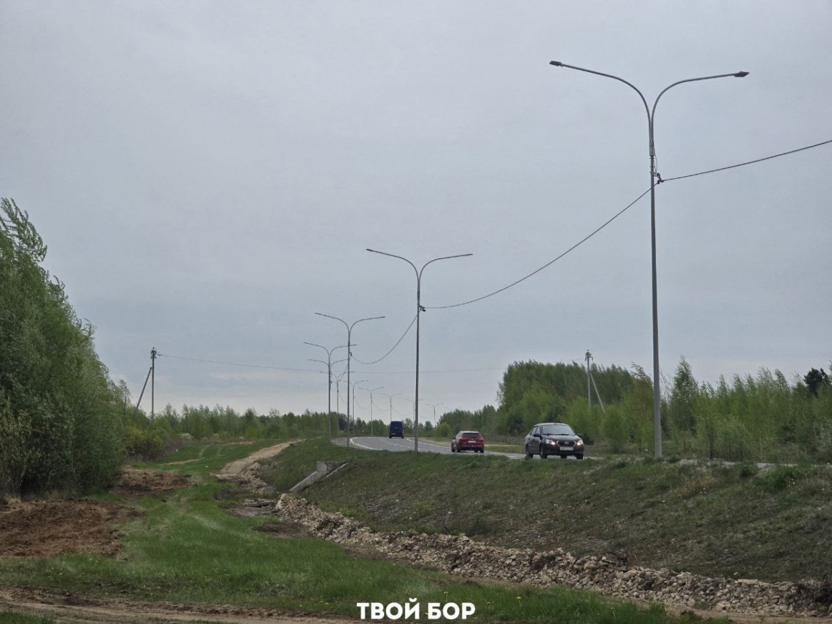 Не теряя надежд…