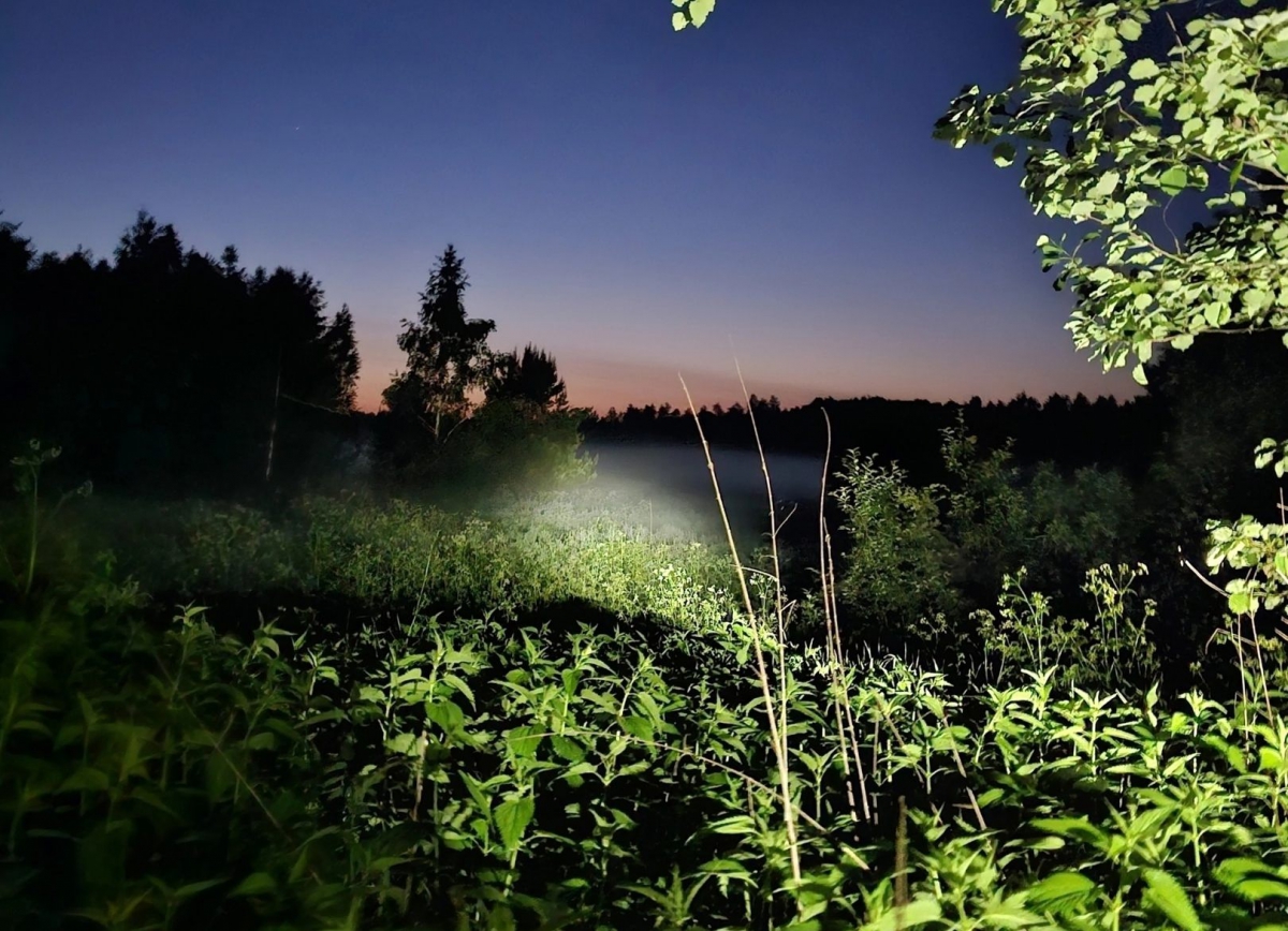 С начала августа в Борском округе в лесах потерялось 5 человек