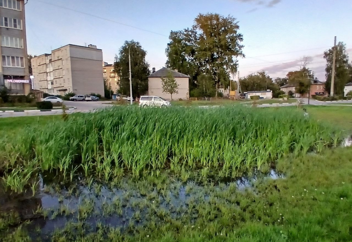 Пост гнева от подписчика