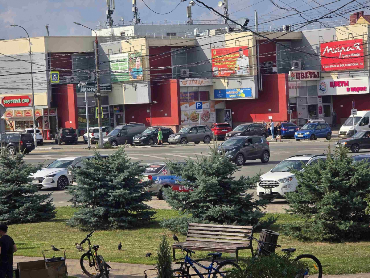 Борчанин поделился подозрительной перепиской