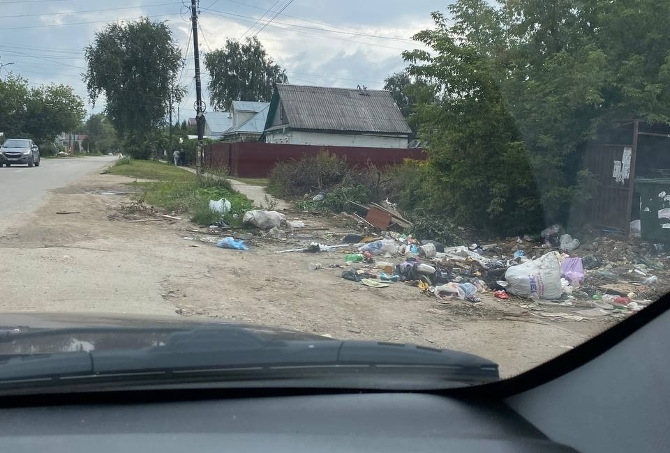 Жалоба от борчан на мусор №98765