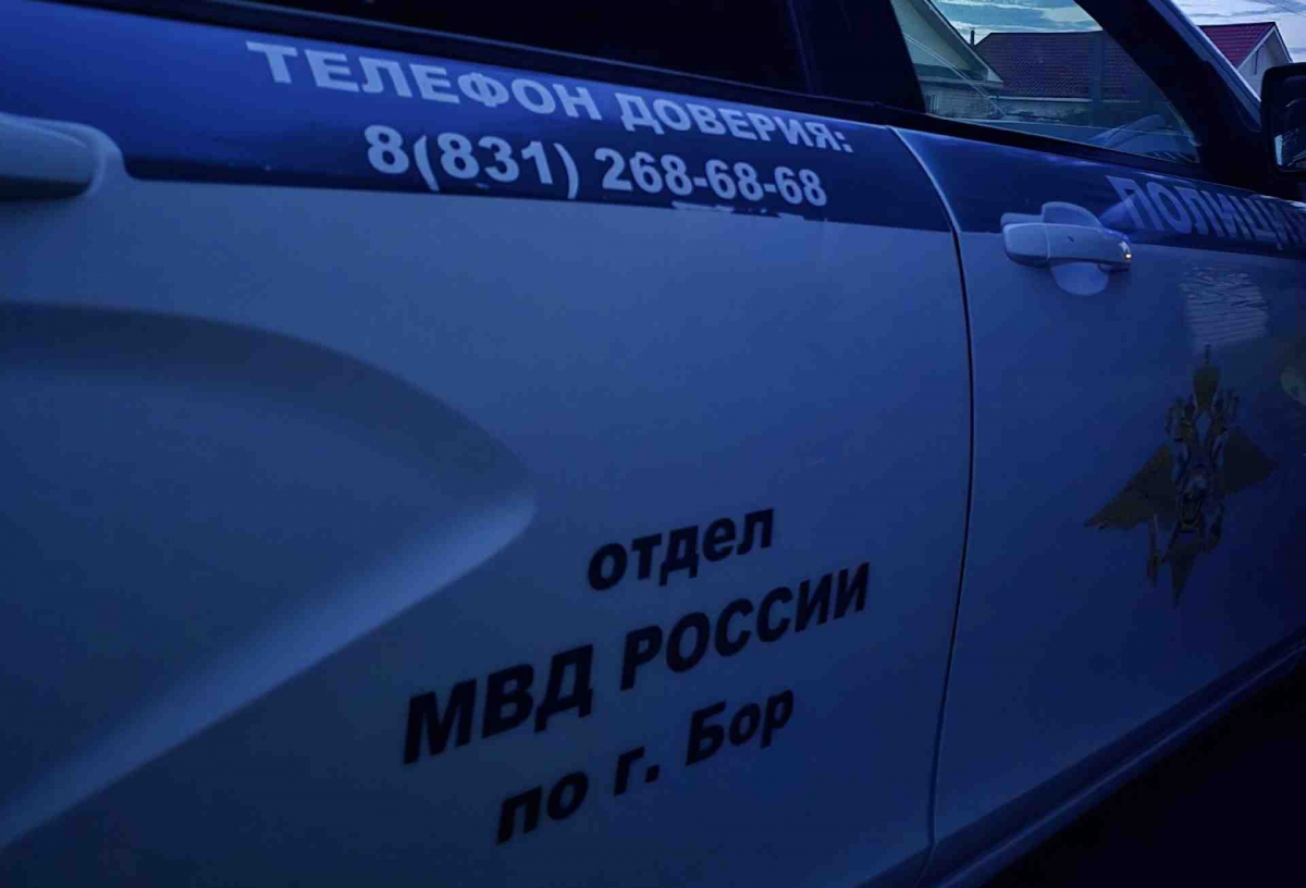 Какие правонарушения чаще всего совершают борские подростки?