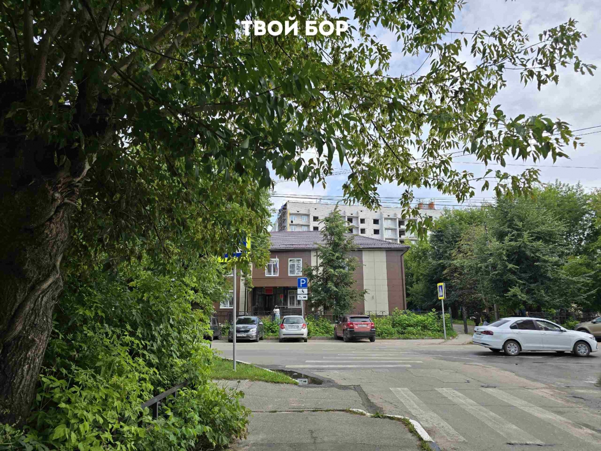 Совместное родительство после развода?