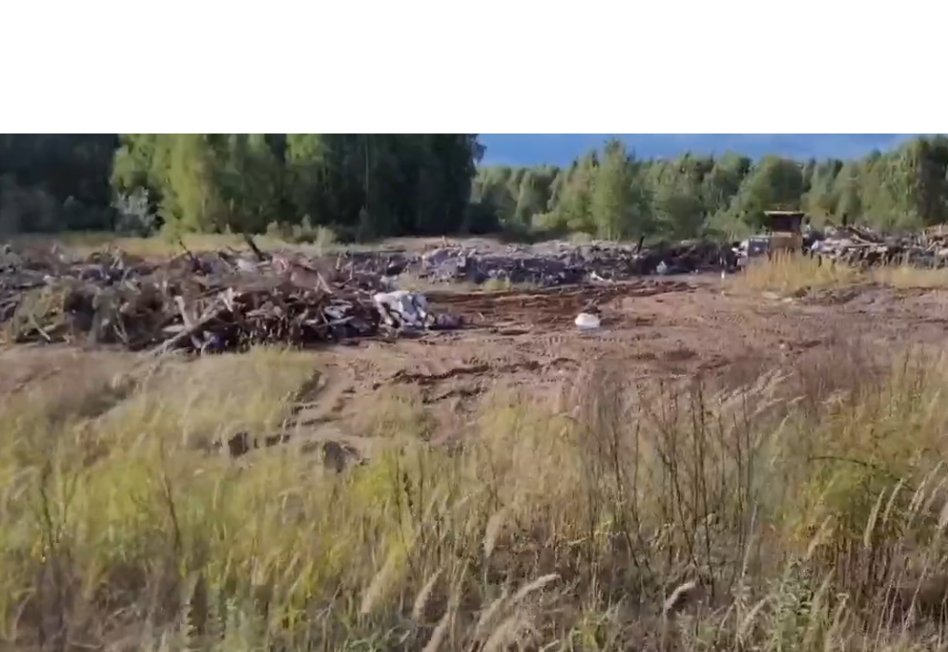 Борчанин обнаружил нелегальную свалку