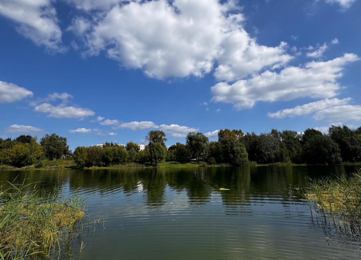 Можно ли купаться на Юрасовском?