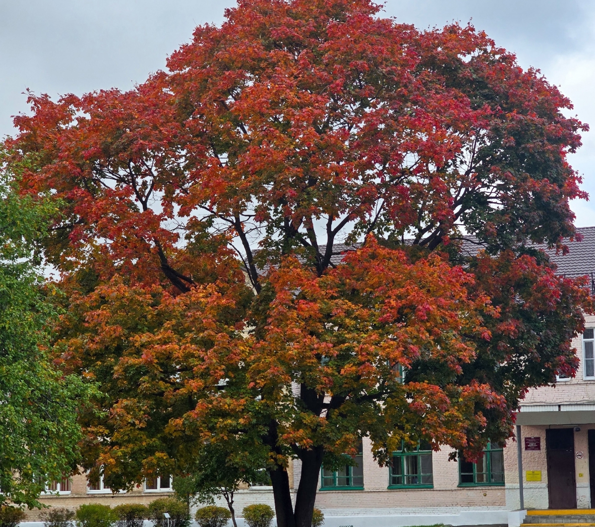 Четвёртая неделя осени