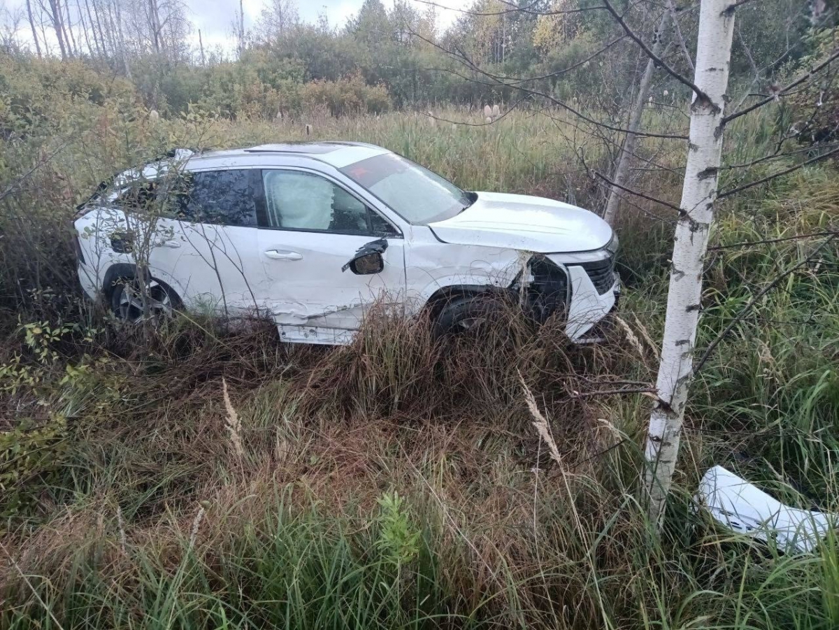 Сотрудники Борского отдела ГАИ бьют тревогу