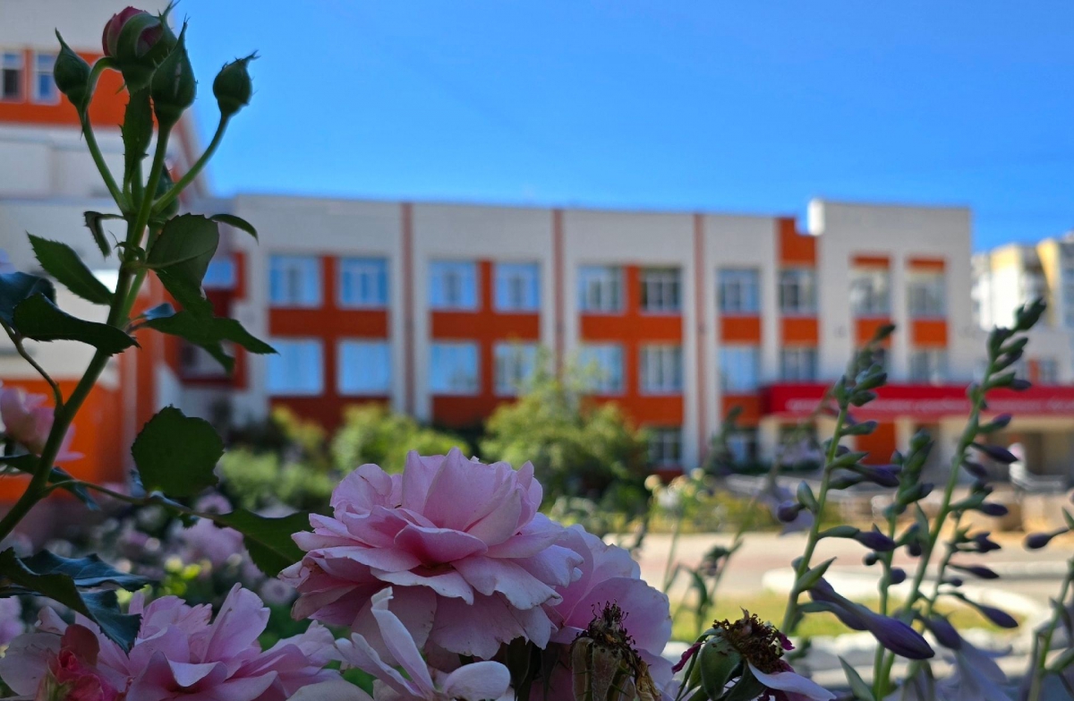 ЦВР «Алиса» приглашает :