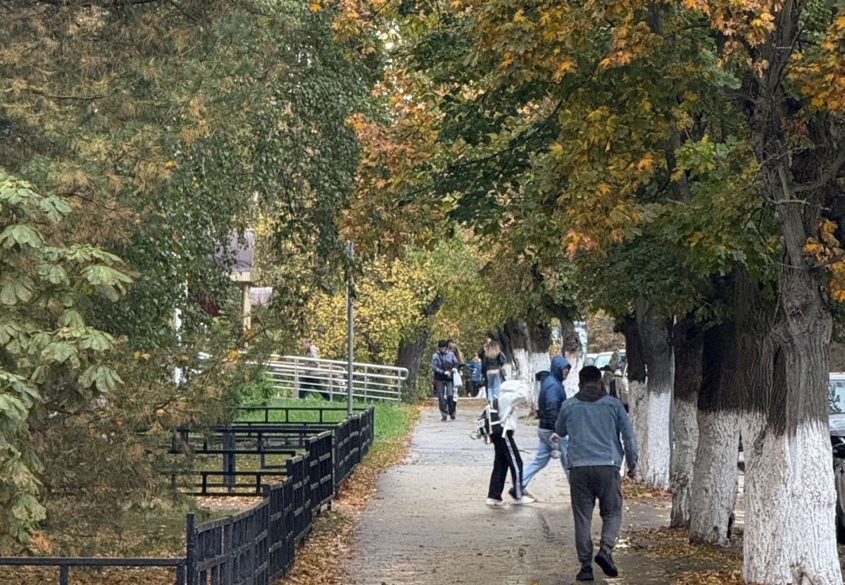 Борчан просят соблюдать спокойствие!
