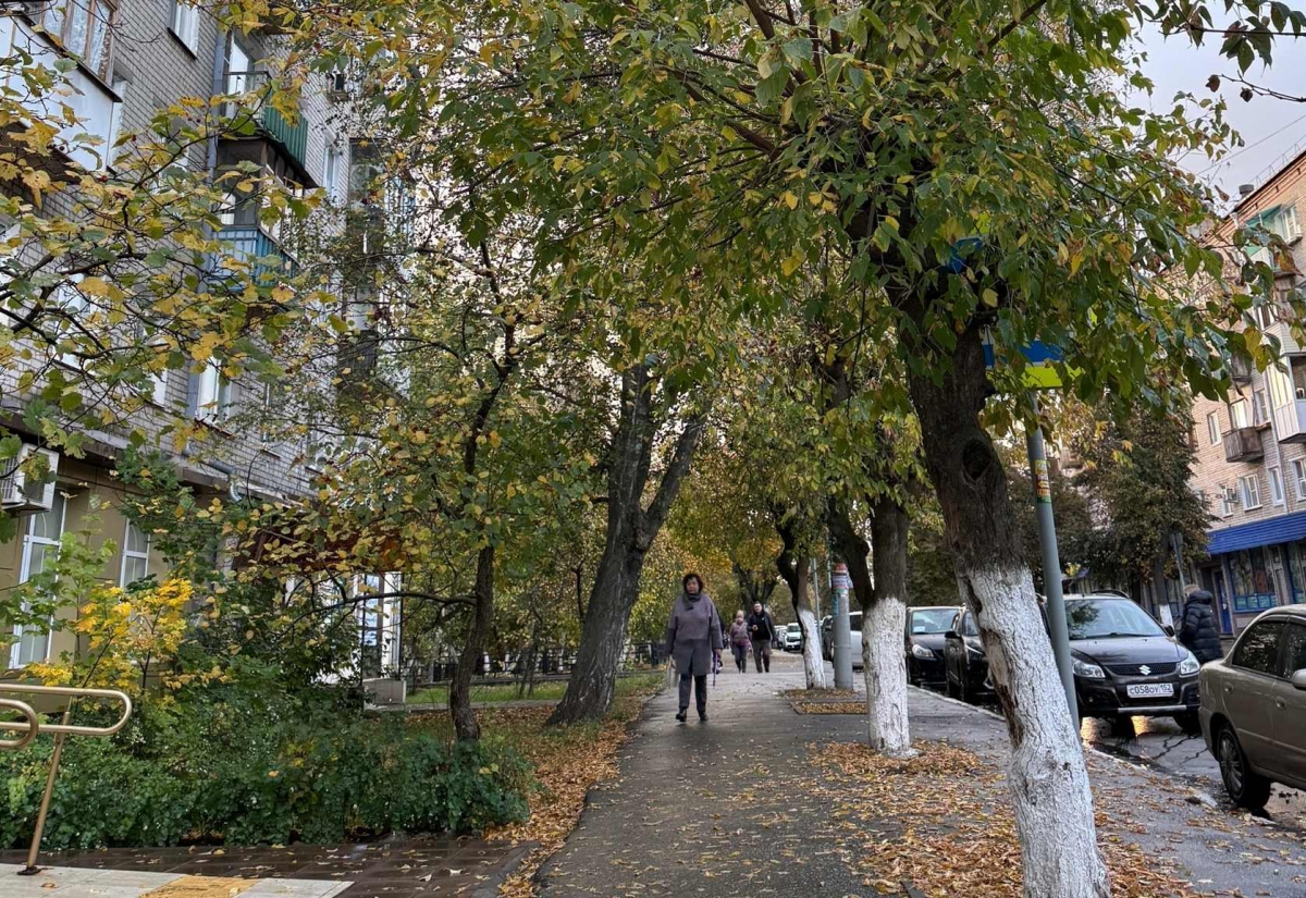 Станет ли на Бору меньше вонять?