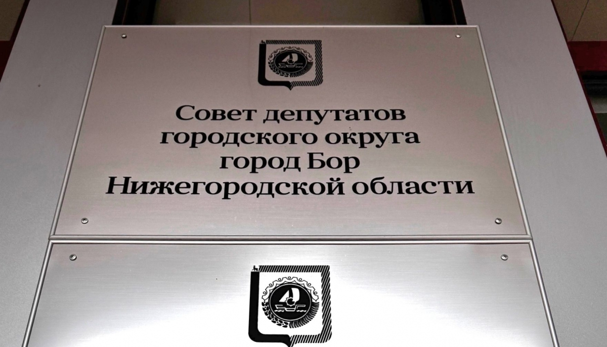 Новые борские народные избранники