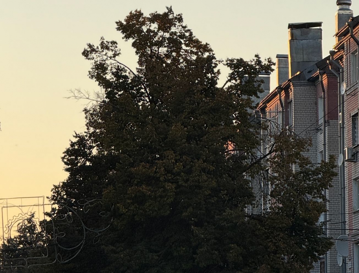 Отключение электроэнергии на Бору 24 сентября