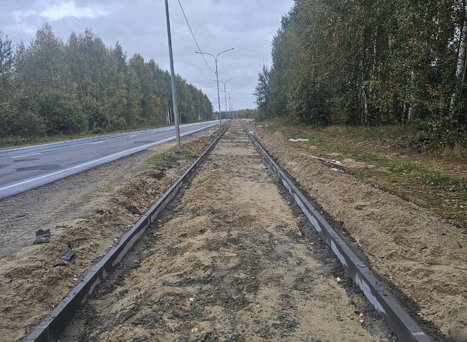 Она, видимо, будет еще и пешеходной