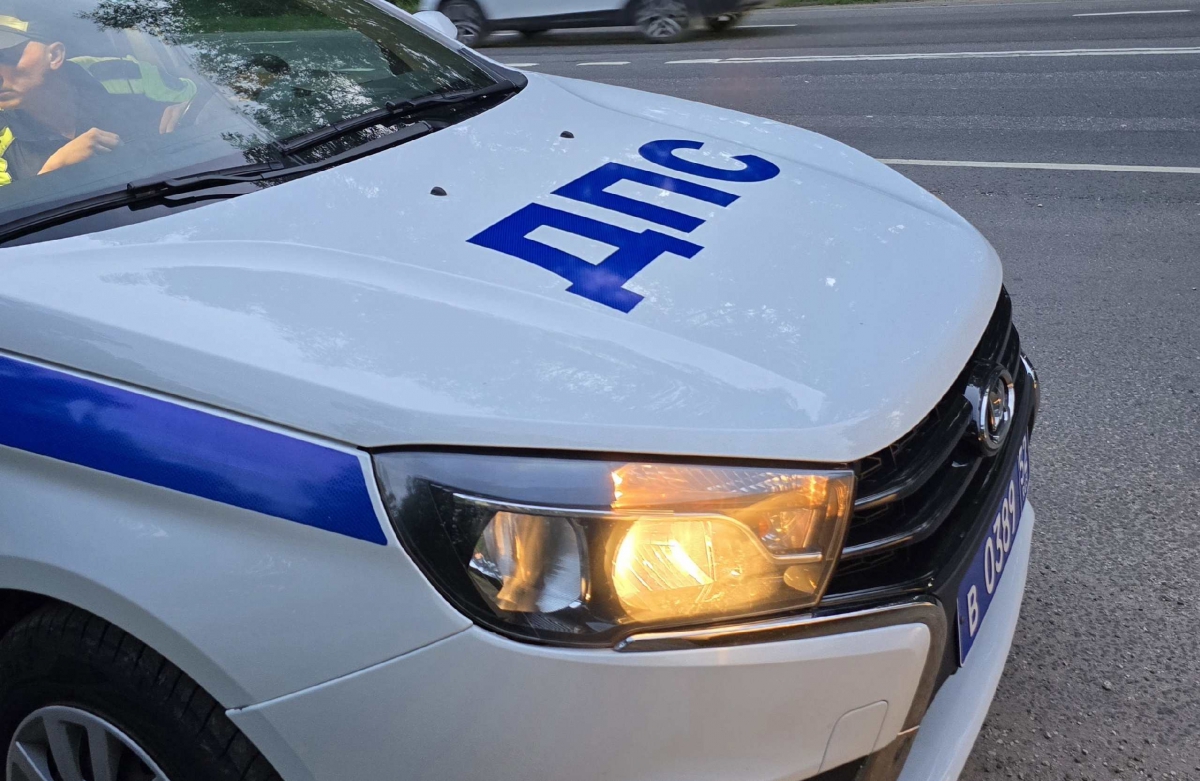 Борчанин попытался откупиться от ДПС