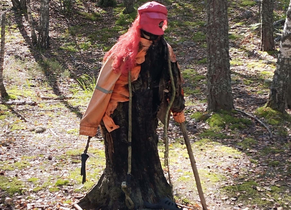 Осторожно, в лесу...