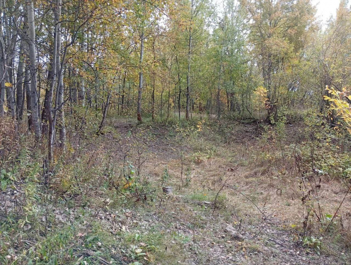 История с манекенами официально закрыта