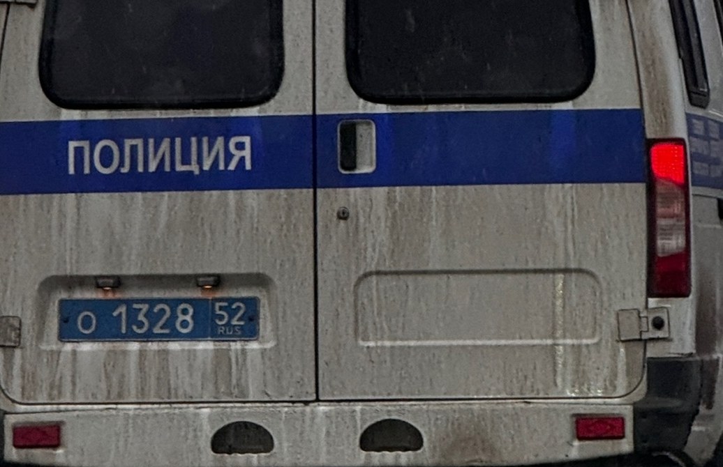 Нижегородцы за прошлую неделю "отдали" мошенникам почти 28 миллионов рублей