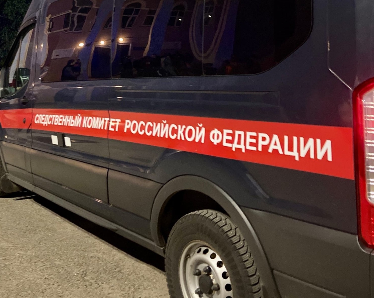 В Борском районе по факту избиения несовершеннолетних возбуждено уголовное дело