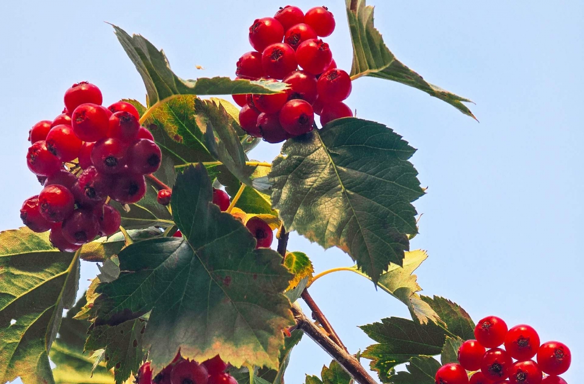 Здравствуй, осень!