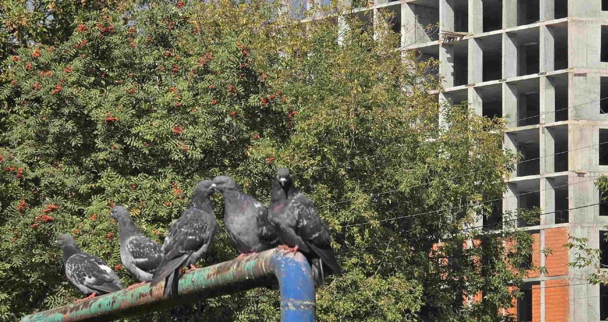 Обсудим новости погоды