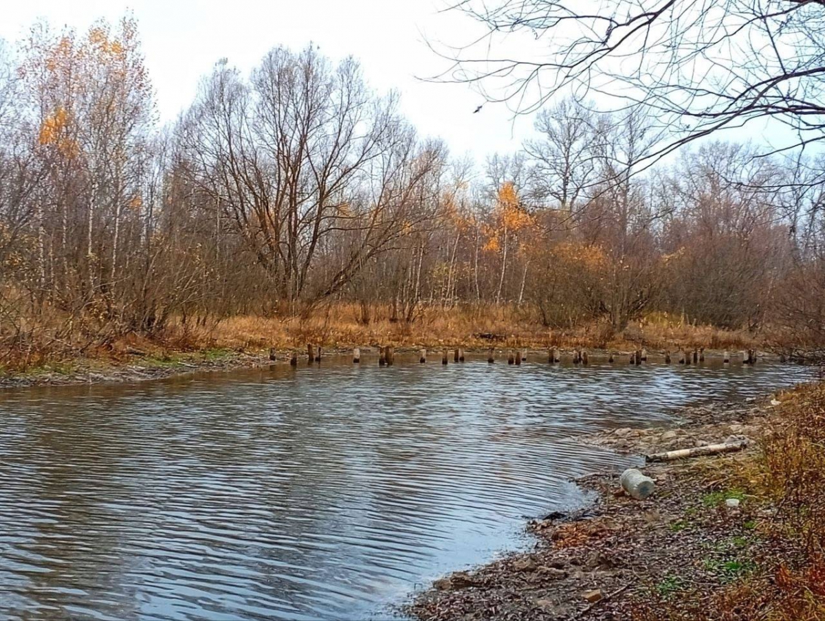 Краевед Юрий Югин рассказал про озеро Бездонное и торчащие из воды сваи, которые когда-то были мостом