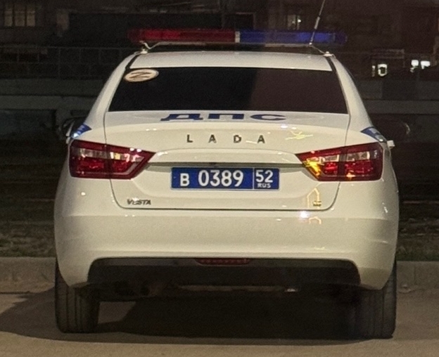 Про ДТП с лосем