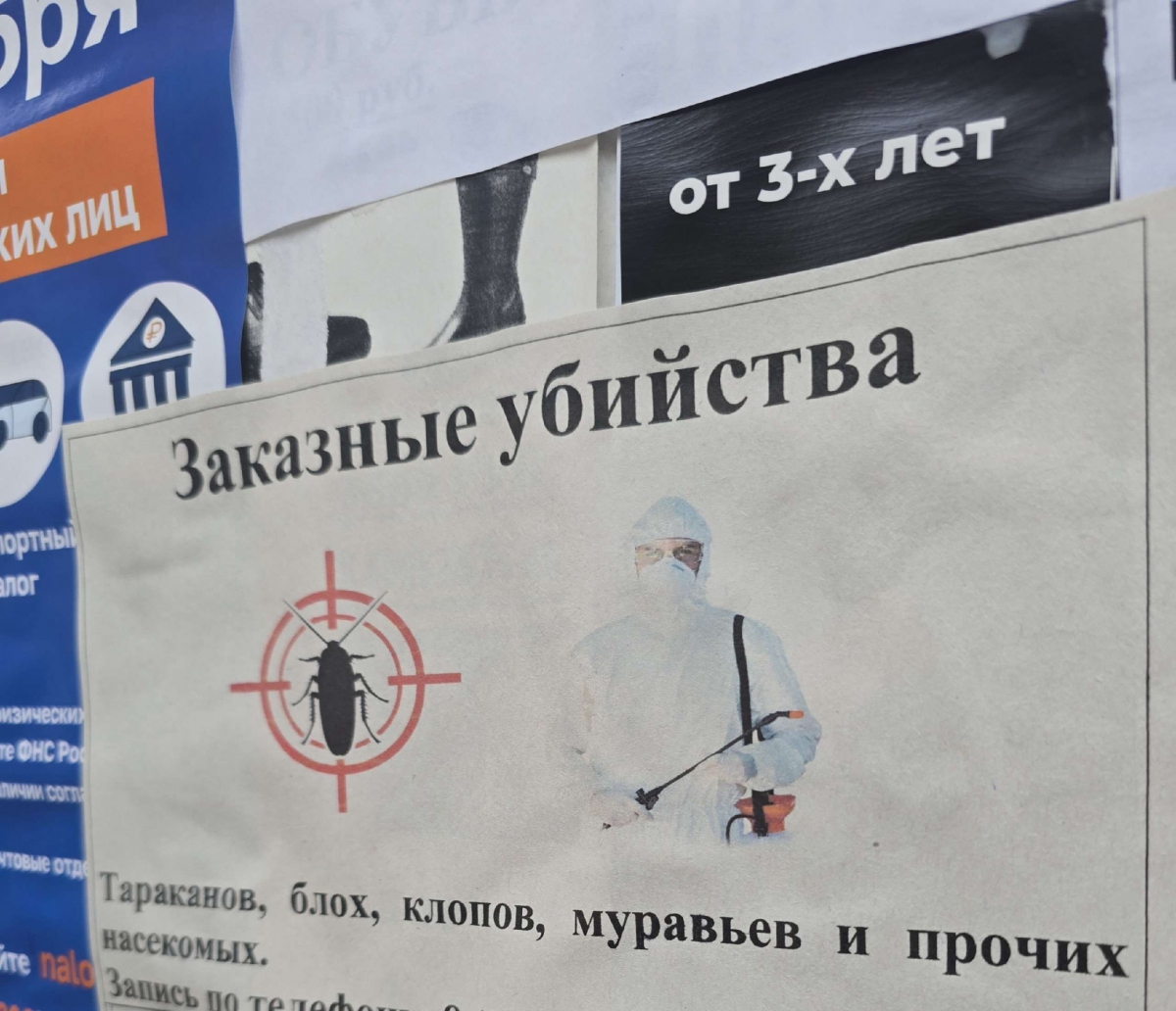 История из подъезда от подписчика