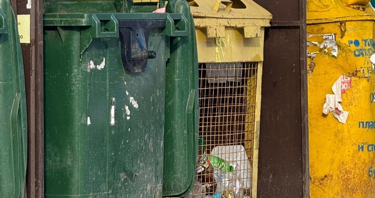 Россельхознадзор выдал предписание владельцу за свалку отходов