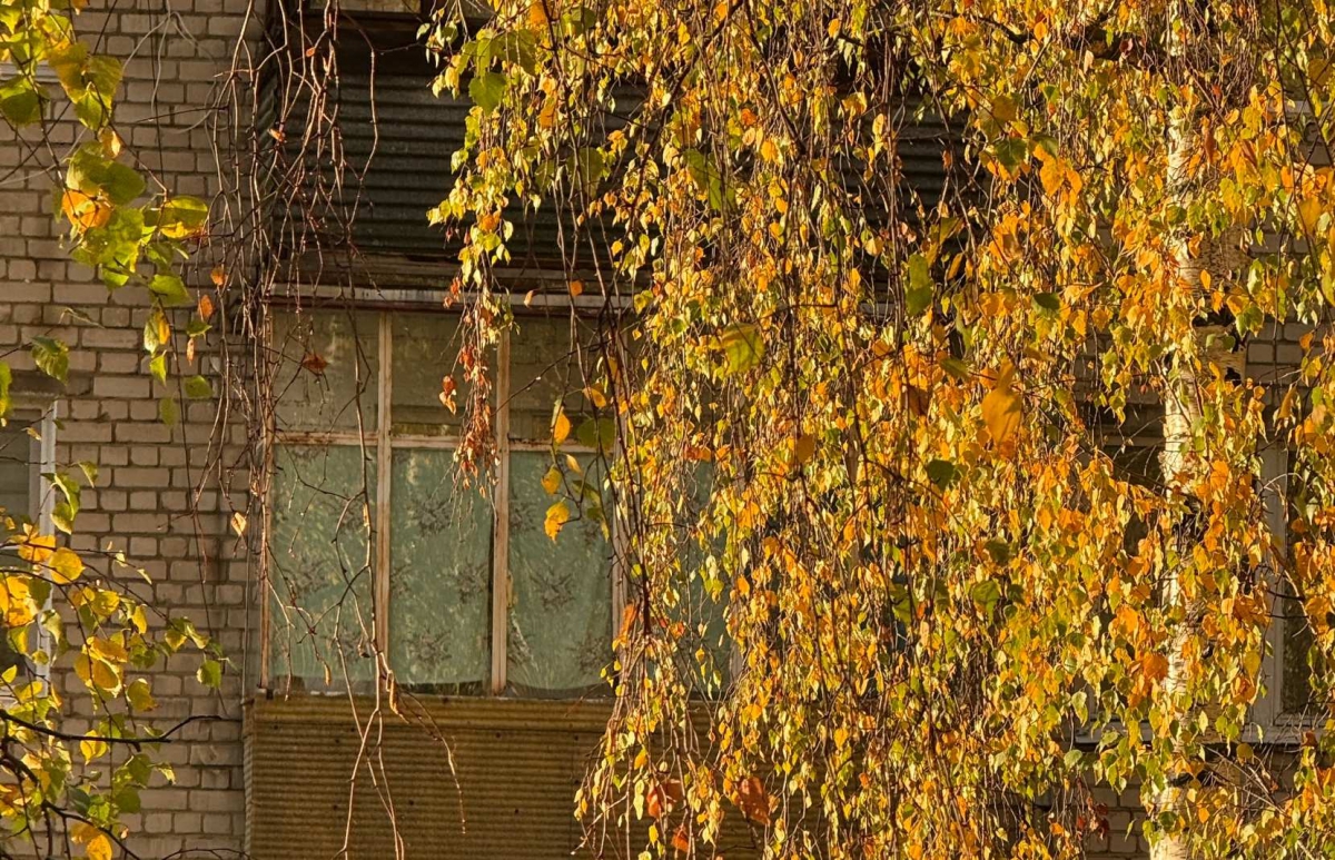 Отключение электроэнергии на Бору 15 октября