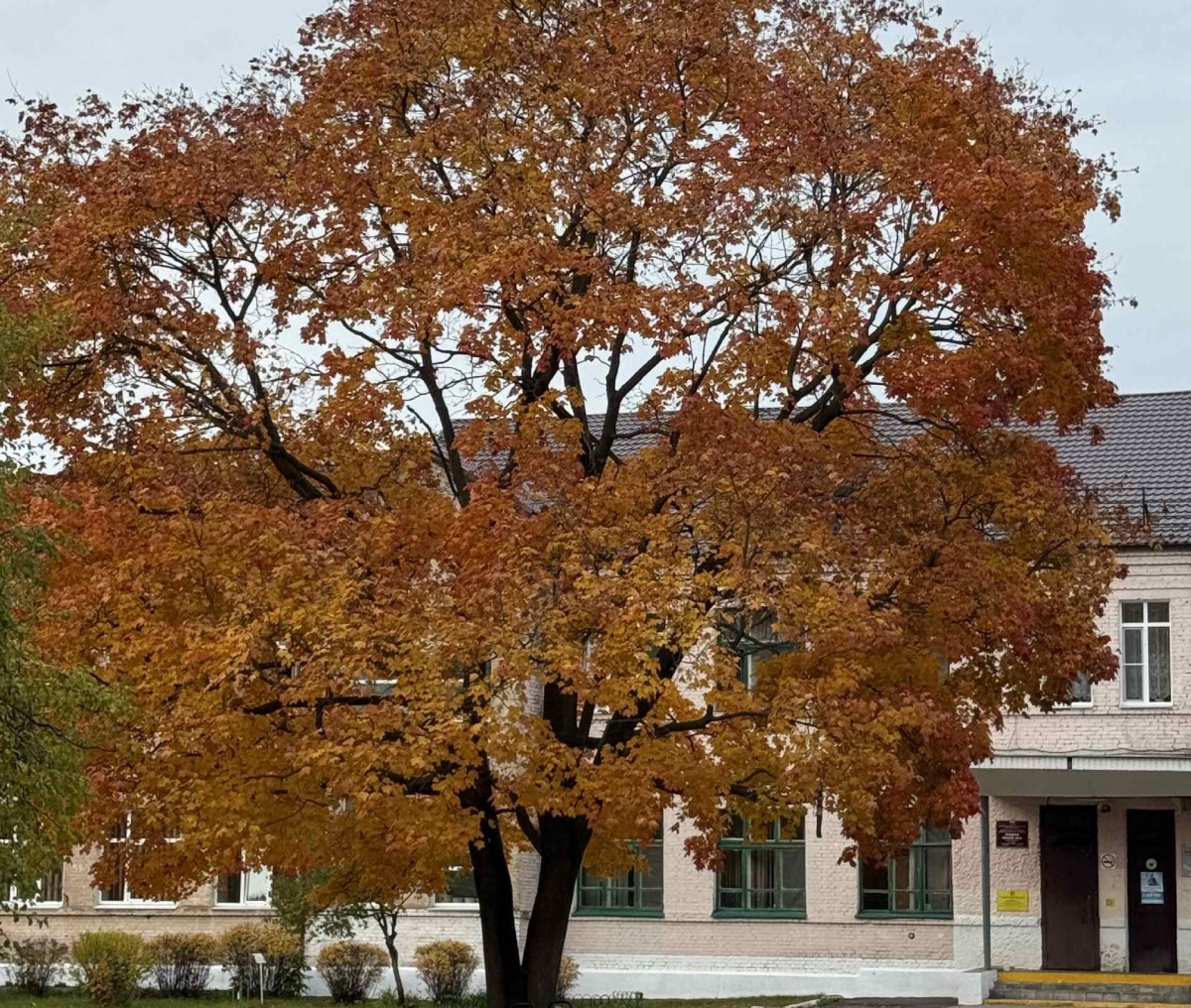 Осенняя история