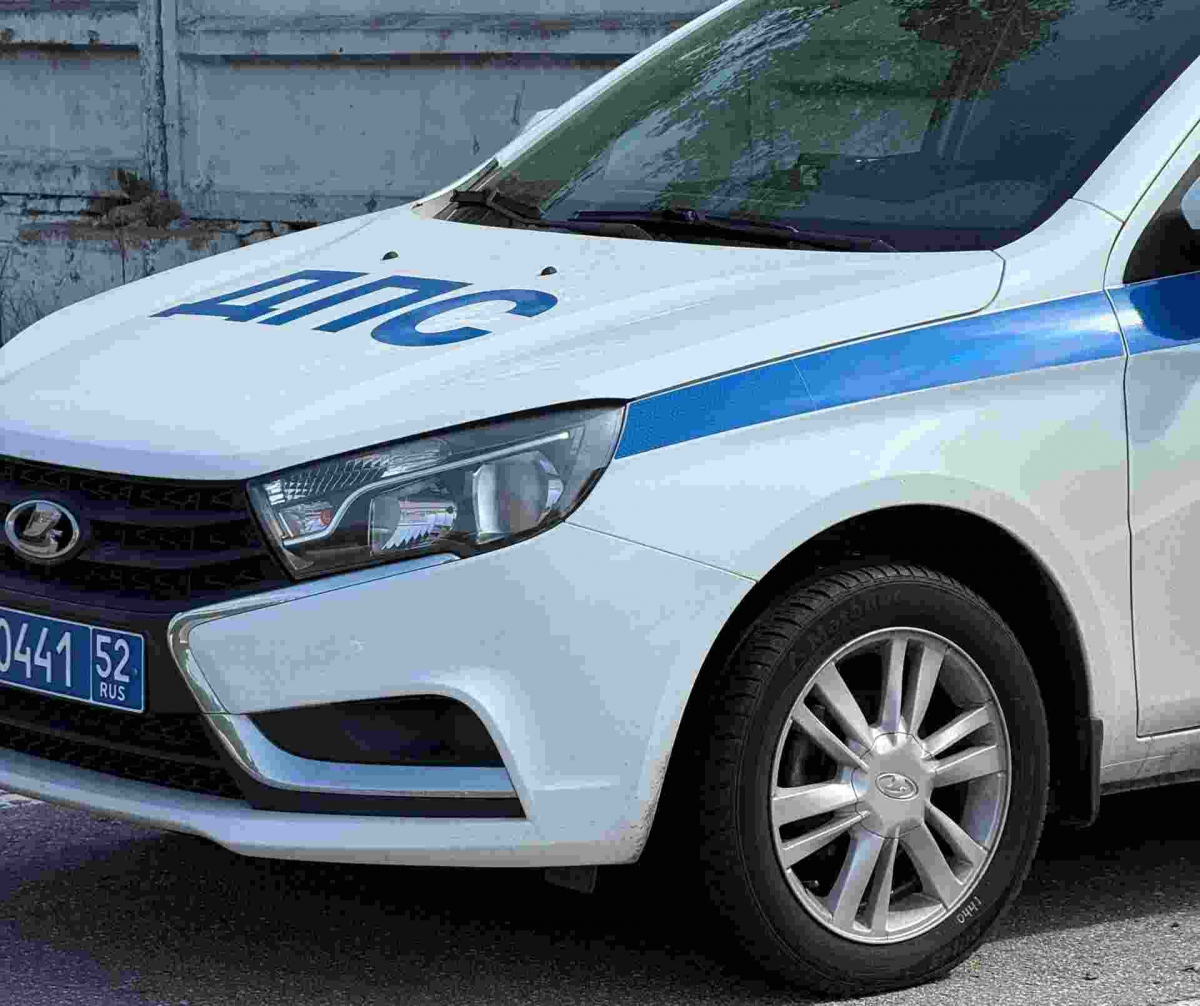 На Бору поймали нарушителей