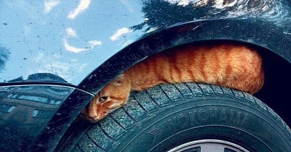 Уважаемые автомобилисты