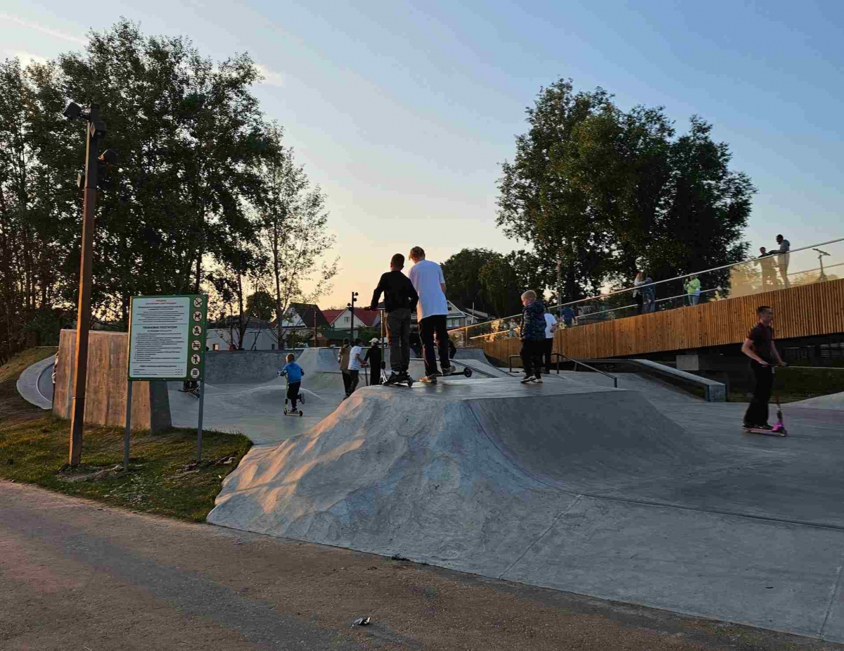 Бор для Шаранги?