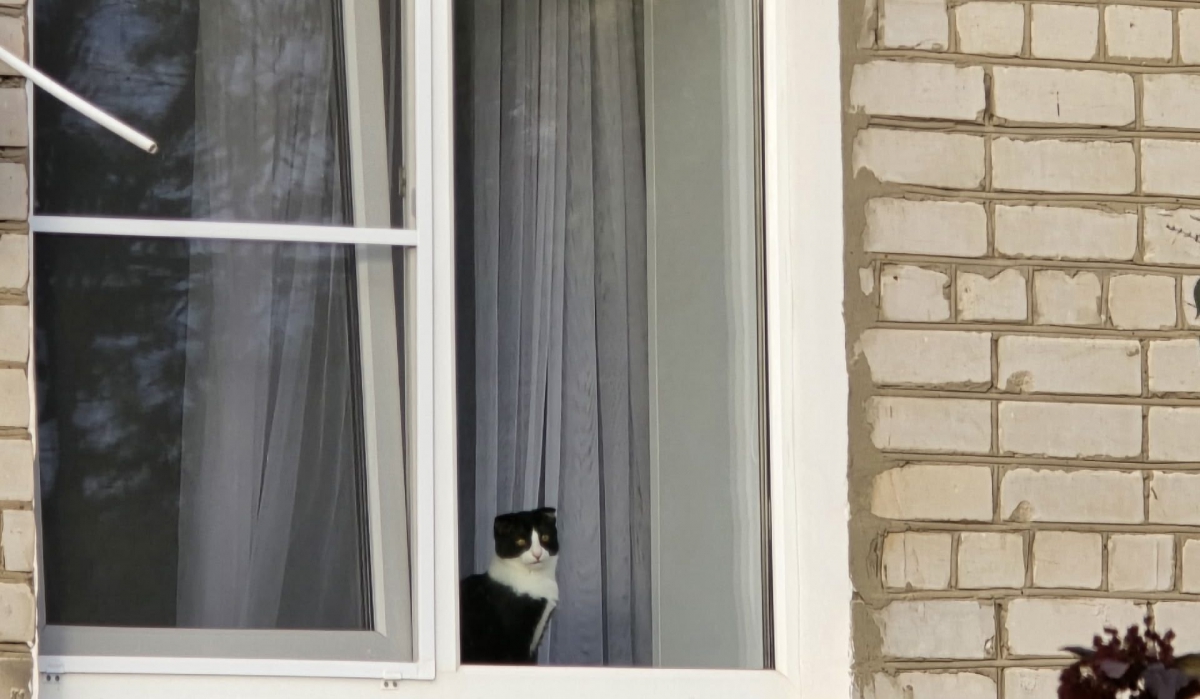 О погоде на Бору