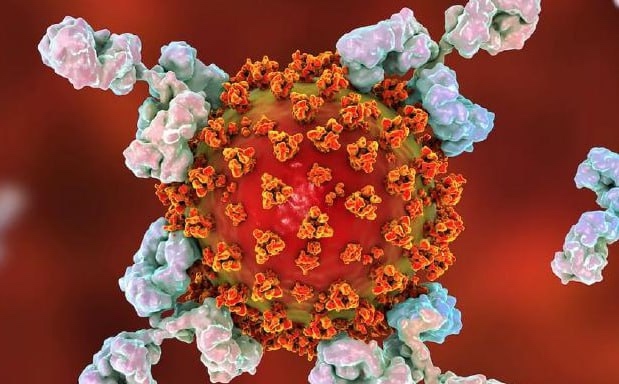 Нижегородские учёные запатентовали новое средство против рака