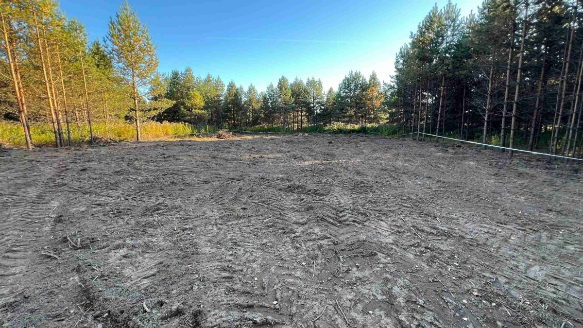 Алексей Боровский: