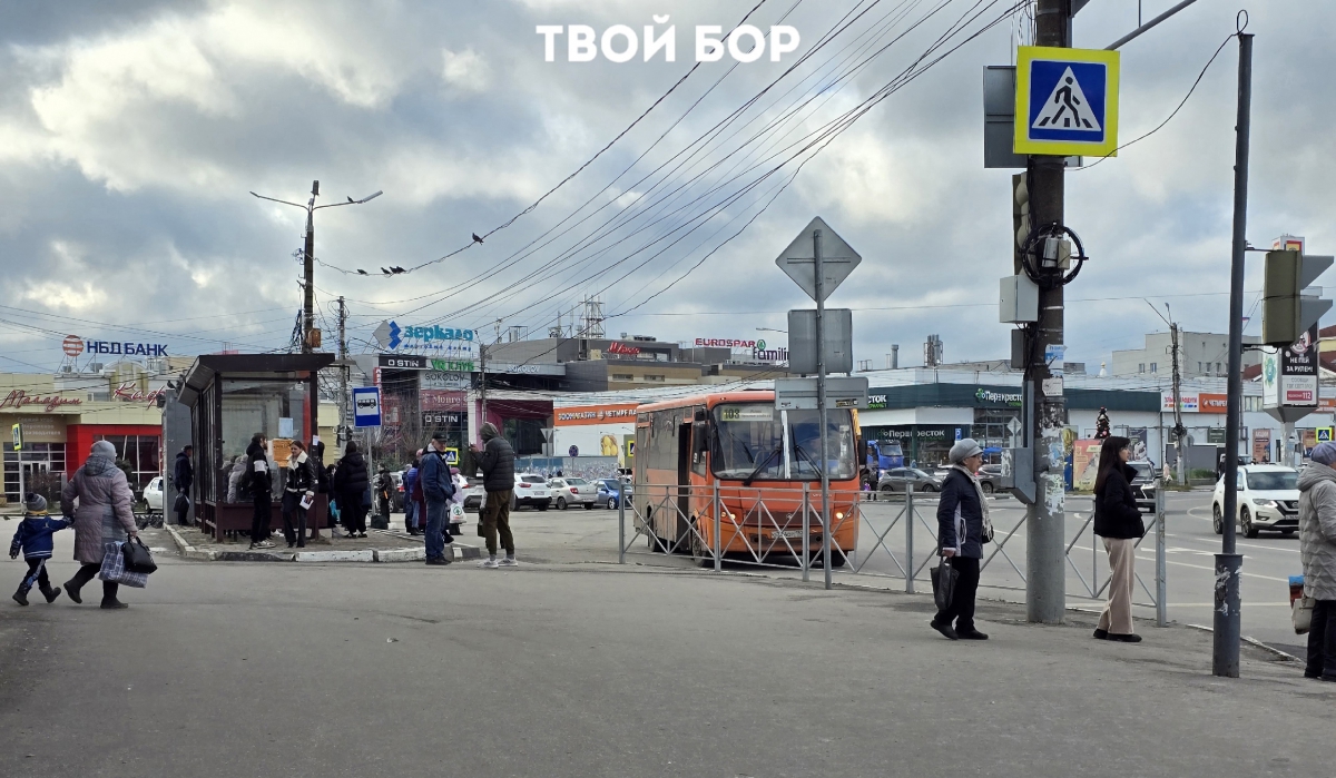 Подробнее про больничные для самозанятых